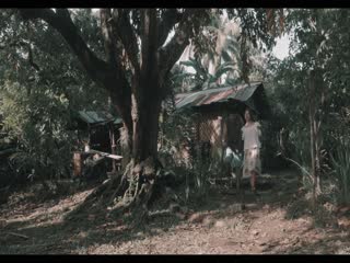 Hoa Dại Đồng Nội Full