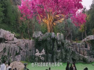 Nghịch Thiên Thành Tiên (Phần 1) Tập Tập 03