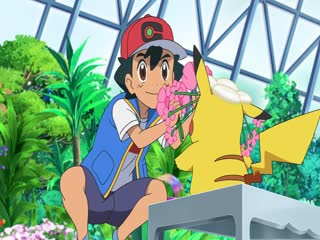 Pokémon Tập Tập 1184