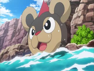 Pokémon Tập Tập 901