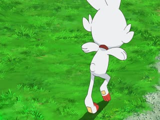 Pokémon Tập Tập 1216
