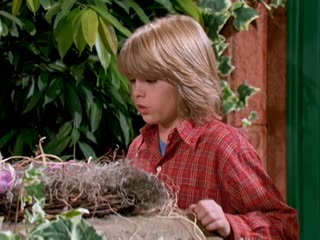 Cuộc Sống Thượng Hạng Của Zack & Cody (Phần 2) Tập Tập 28