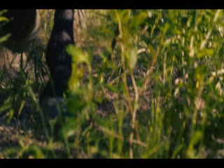 UNTAMED Tập Tập 01