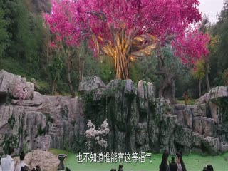 Nghịch Thiên Thành Tiên (Phần 1) Tập Tập 03