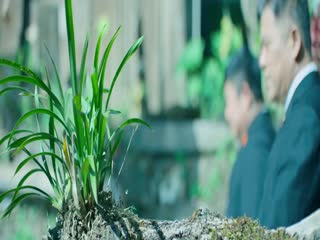 Hình Mẫu Tập Tập 07