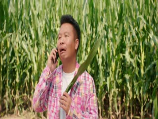 Nhị Long Hồ: Giấc Mộng Thôn Quê (Phần 2) Tập Tập 12
