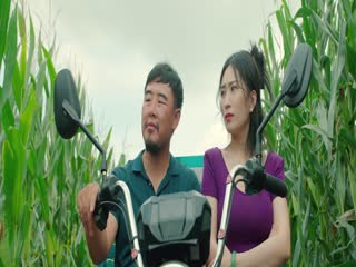Nhị Long Hồ: Giấc Mộng Thôn Quê (Phần 1) Tập Tập 15