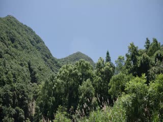 Phân Phương Hỉ Sự Tập Tập 04