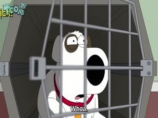 Family Guy (Phần 21) Tập Tập 18
