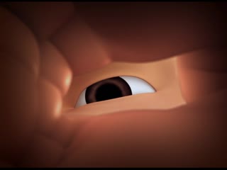 Phim Upin & Ipin (Phần 6) Tập 3