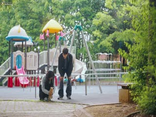 Cuộc Chiến Giành Quyền Nuôi Mèo Full