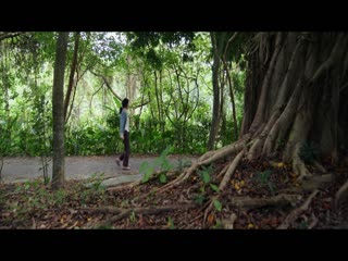 Viện Thẩm Mỹ Cựu Kim Sơn Tập Tập 05