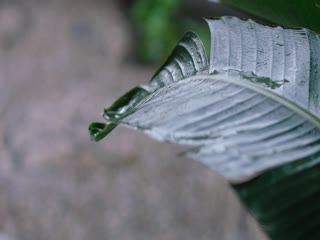 Nhất Phiến Băng Tâm Tại Ngọc Hồ (Một Mảnh Băng Tâm Tại Ngọc Hồ) Tập Tập 03