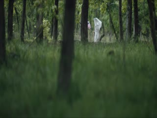 Đường Triều Quỷ Sự Lục Tập Tập 15