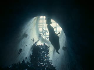 Phim Gã Hề Ma Quái: Chào Mừng Đến Derry Tập 3