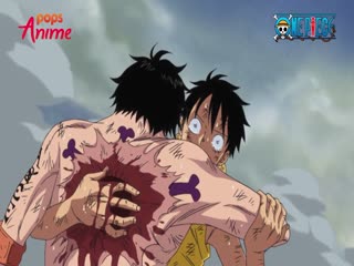 Phim Đảo Hải Tặc Tập 882