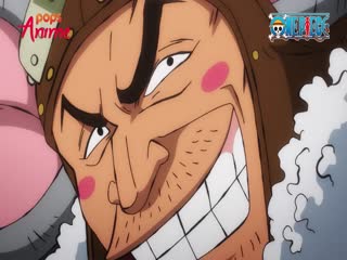 Phim Đảo Hải Tặc Tập 901