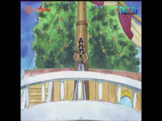 Phim Đảo Hải Tặc Tập 142