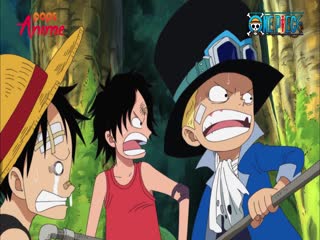 Phim Đảo Hải Tặc Tập 494