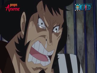 Phim Đảo Hải Tặc Tập 691