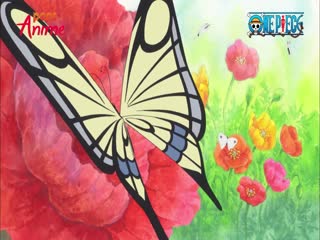 Phim Đảo Hải Tặc Tập 589