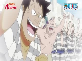 Phim Đảo Hải Tặc Tập 1011