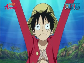 Phim Đảo Hải Tặc Tập 626