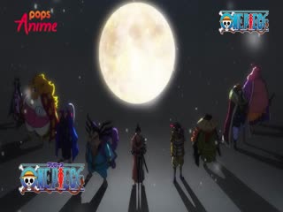 Phim Đảo Hải Tặc Tập 1013