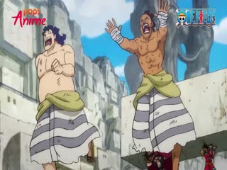 Phim Đảo Hải Tặc Tập 919