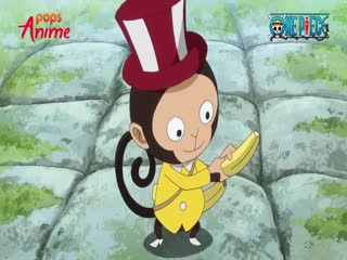 Phim Đảo Hải Tặc Tập 779