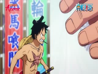 Phim Đảo Hải Tặc Tập 903