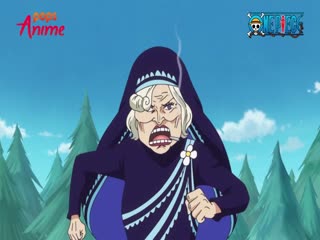 Phim Đảo Hải Tặc Tập 836