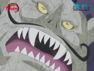 Phim Đảo Hải Tặc Tập 810