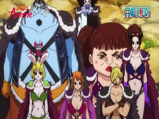 Phim Đảo Hải Tặc Tập 984