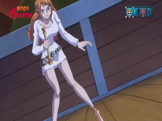 Phim Đảo Hải Tặc Tập 864