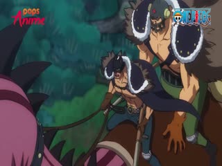 Phim Đảo Hải Tặc Tập 893