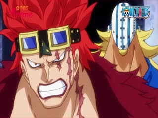 Phim Đảo Hải Tặc Tập 986