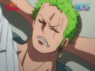 Phim Đảo Hải Tặc Tập 936