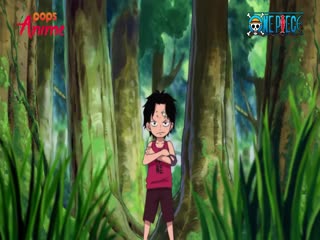 Phim Đảo Hải Tặc Tập 504