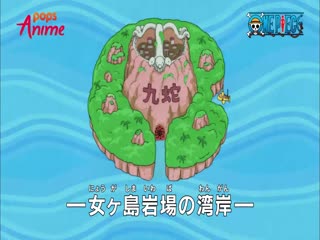 Phim Đảo Hải Tặc Tập 491