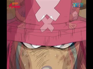 Phim Đảo Hải Tặc Tập 290