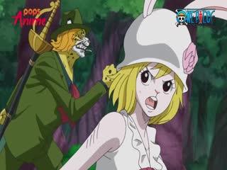 Phim Đảo Hải Tặc Tập 848