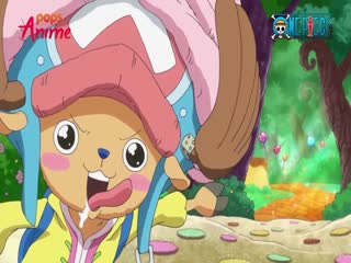 Phim Đảo Hải Tặc Tập 791