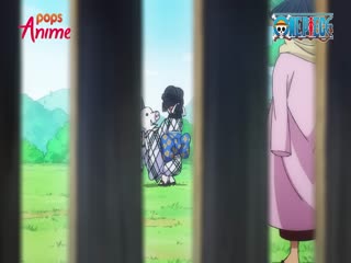 Phim Đảo Hải Tặc Tập 960