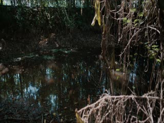 Trong Tầm Mắt Tập Tập 05