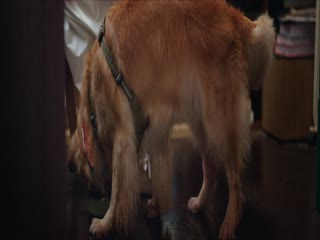 Phim Song Quỹ Tập 23