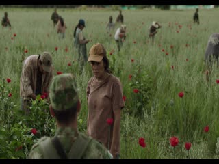 Phim Trùm Ma Túy El Chapo (Phần 2) Tập 8