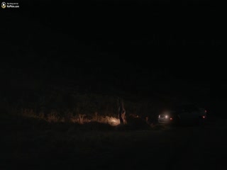 Ký Ức Truy Hành Full