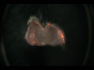 Phim Cậu bé mất tích (Phần 5) Tập 6