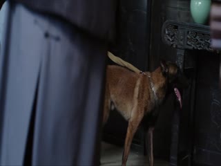 Phim Trường Hà Lạc Nhật Tập 2